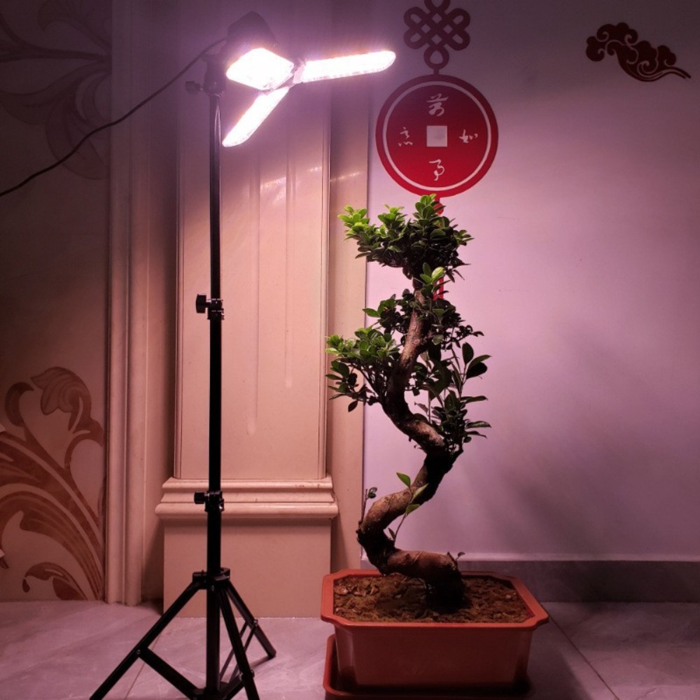 Stojak na żarówki 2M, gniazdo  – Stand Lighting Photography recenzja i cena